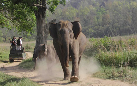 how to plan rajaji tour