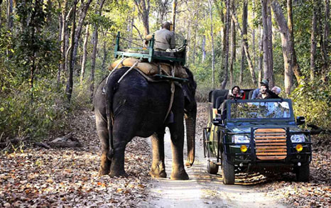 privacy policy in rajaji