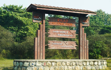 terms conditions rajaji